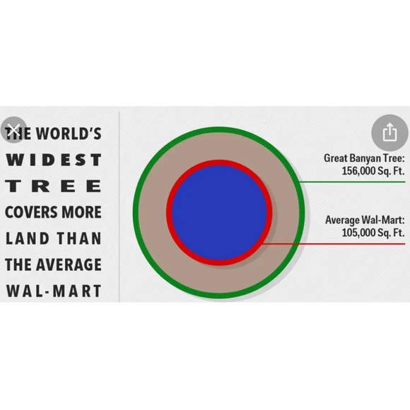💥COMMENTS FULL LIKE NEW FOLLOW GAME #2 With the 🥕 carrot. - Picture 3 of 16